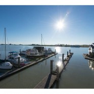 6-3459 River Rd. Ladner – View