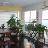 3871 River Road West Ladner – Dining Room